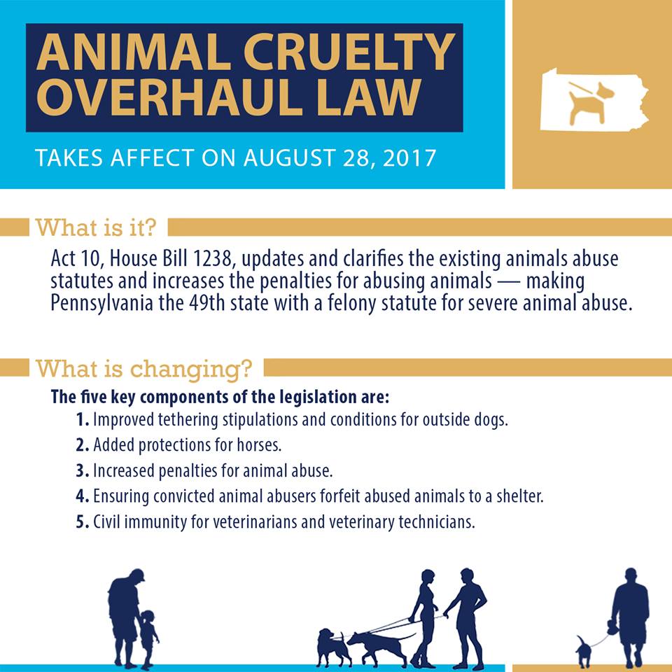 Pennsylvania Animal Laws Increases Protection for Animals - Precious Paws  Animal Rescue