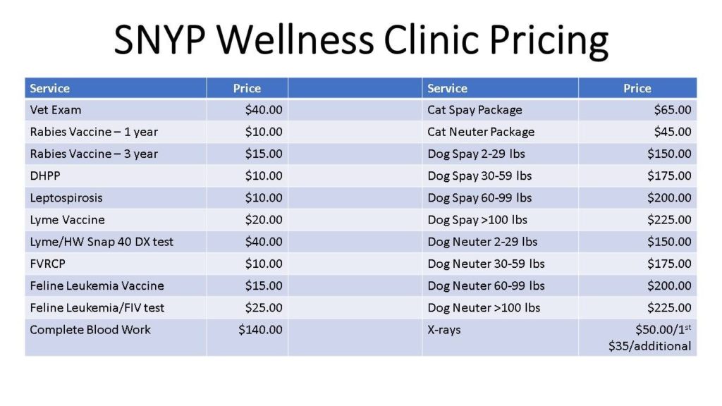 SNYP Wellness Clinic Pricing