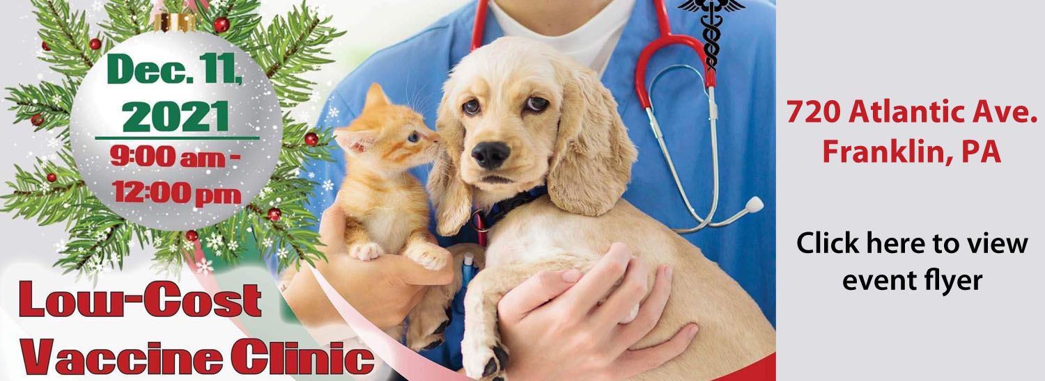 Homepage Precious Paws Animal Rescue